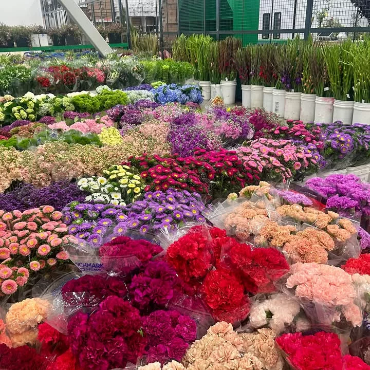 Diverse array of flowers showcasing rich colors and variety.
